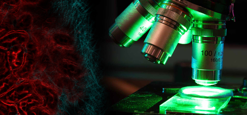 生命科學 生命科學