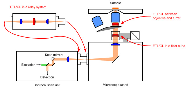 在典型的倒置激光掃描顯微鏡中實現基于 ETL 的聚焦的三種不同方案